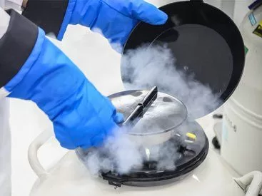 Egg freezing