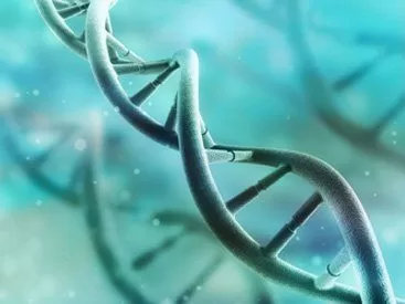 DNA