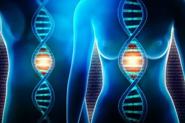 genetic2