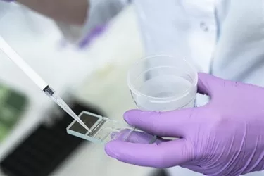 spermtest2