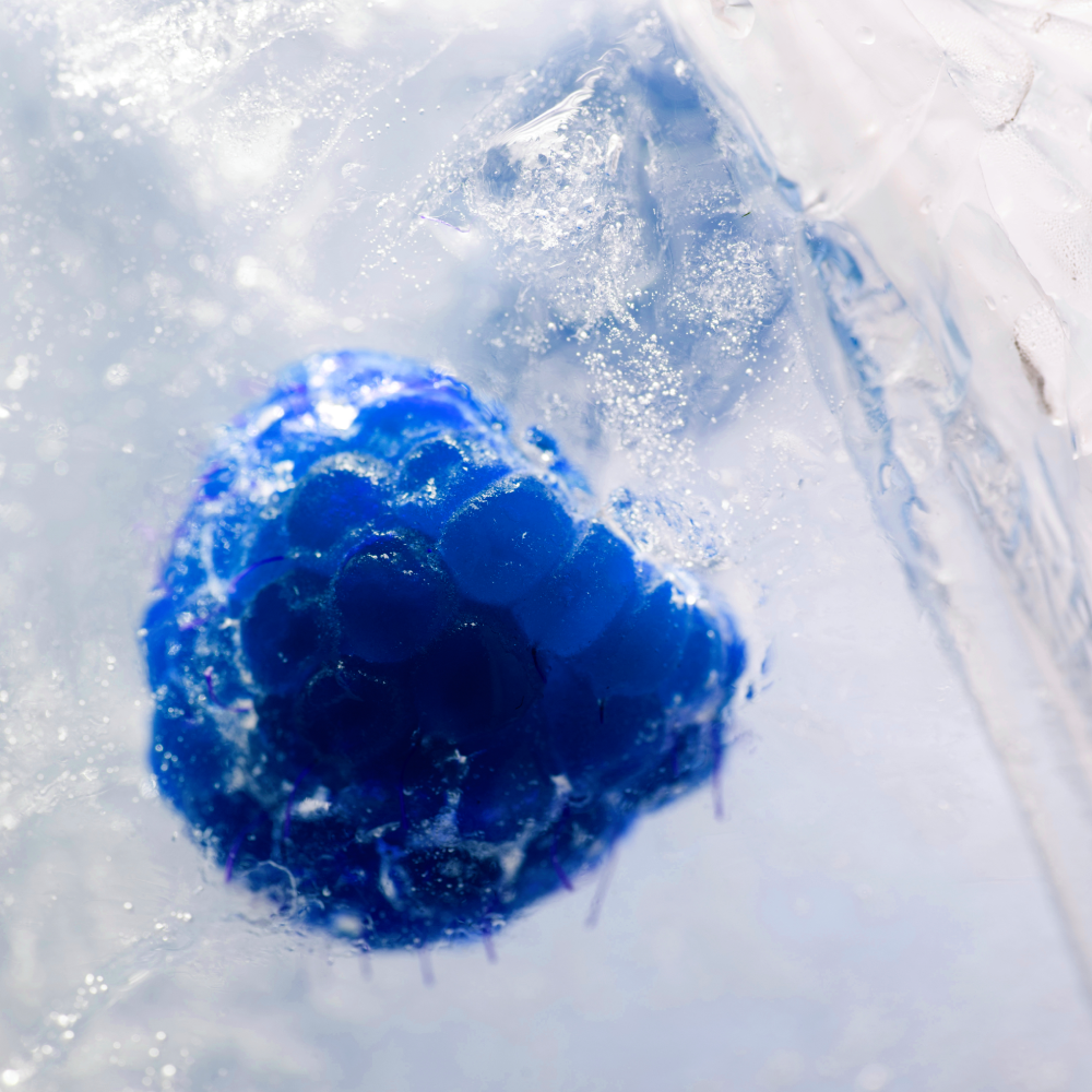 Freeze Eggs