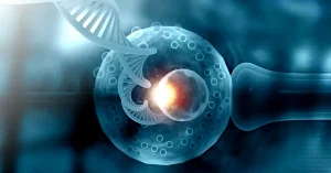 AI in IVF labs improving embryo selection and success rates