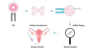 PGT-A testing in IVF showing genetic screening of embryos in a fertility lab. 